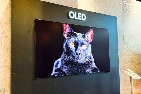 טלוויזיית Samsung OLED דגם 77S95D (צילום: רונן מנדזיצקי)